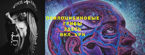 a pvp Ростов