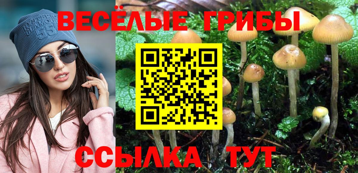 цена наркотик  Псилоцибиновые грибы Magic Shrooms  Вход с VPN  Белореченск 