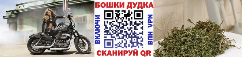 Бошки марихуана Amnesia  Белореченск 